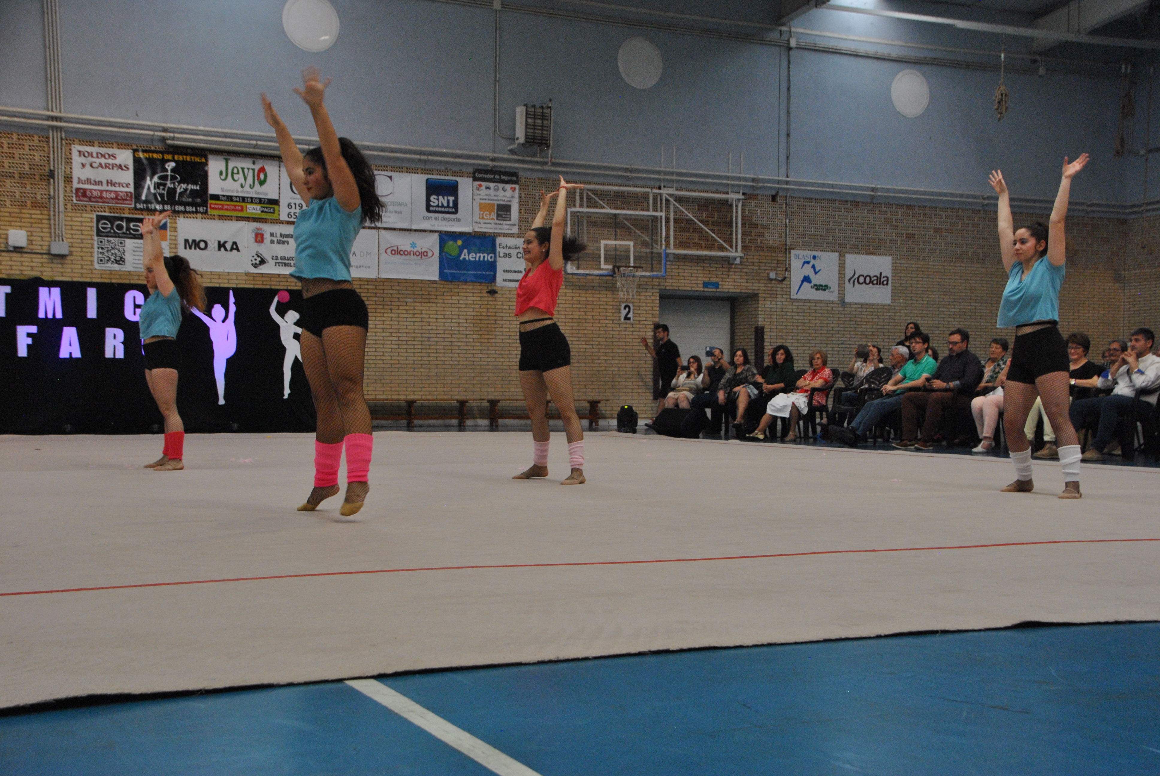 Exhibicion club ritmica Alfaro junio 18 956