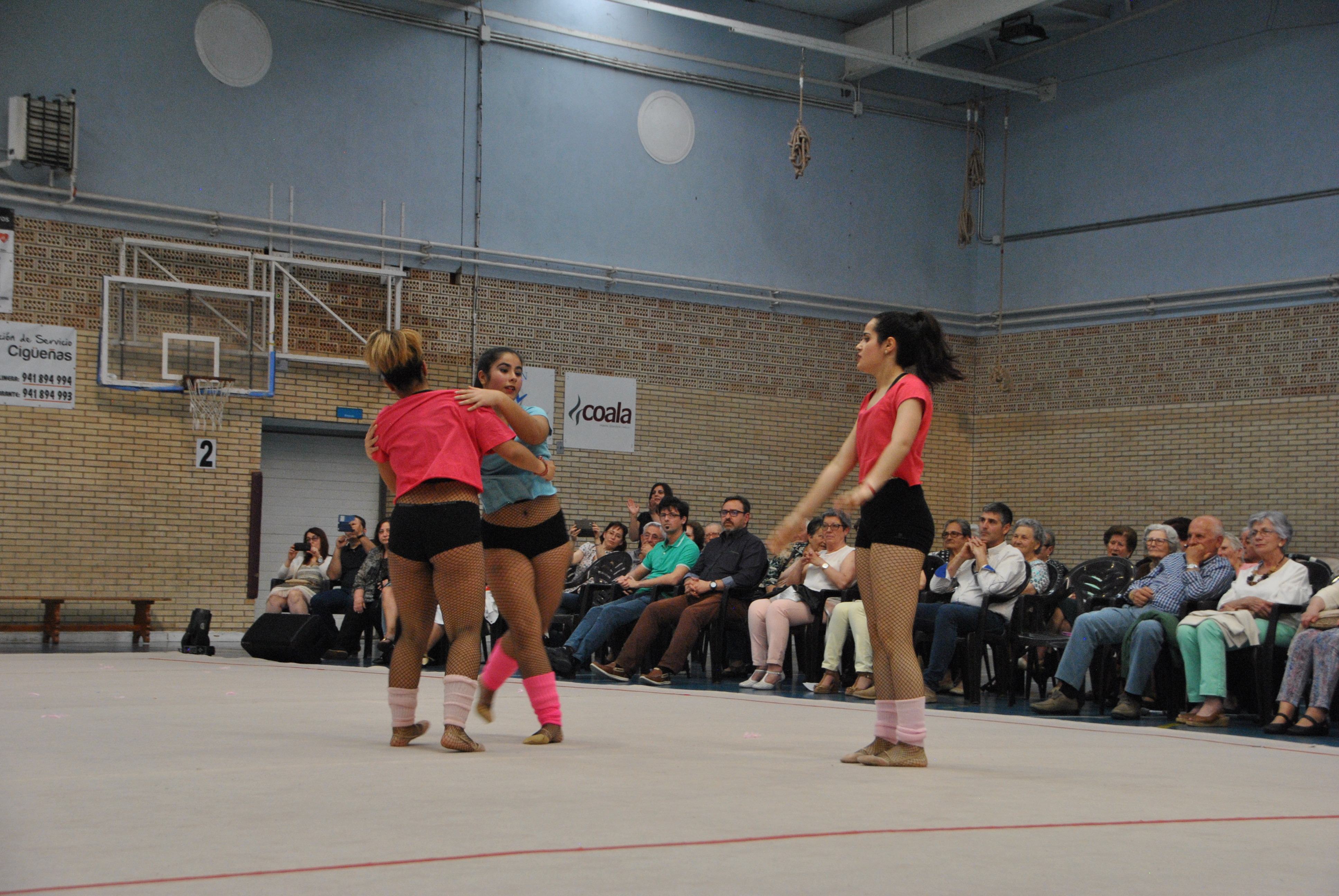 Exhibicion club ritmica Alfaro junio 18 983