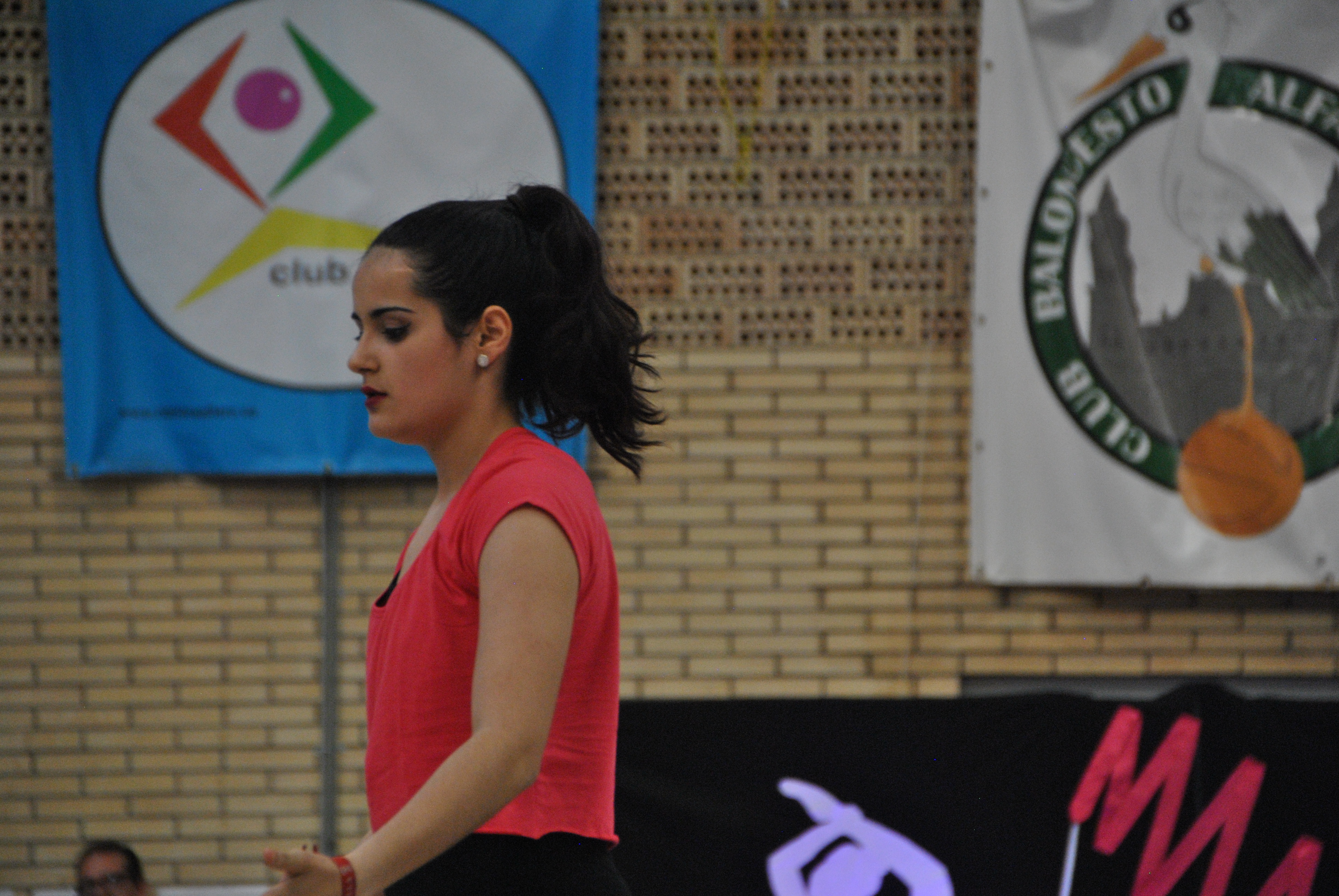 Exhibicion club ritmica Alfaro junio 18 988