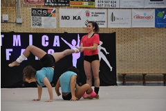 Exhibicion club ritmica Alfaro junio 18 989