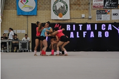 Exhibicion club ritmica Alfaro junio 18 994